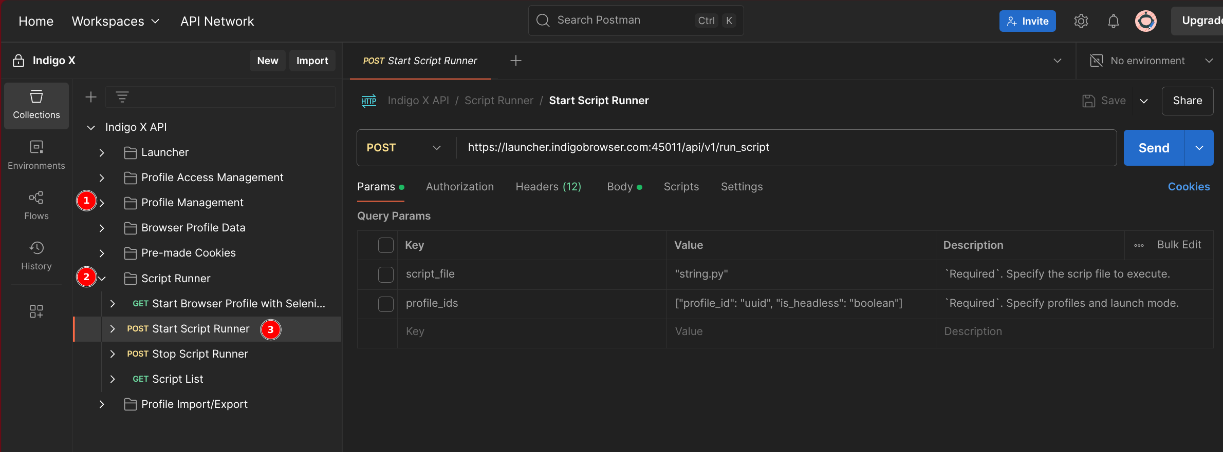 Script Runner Endpoint