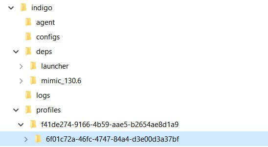 Indigo X folder structure visualization