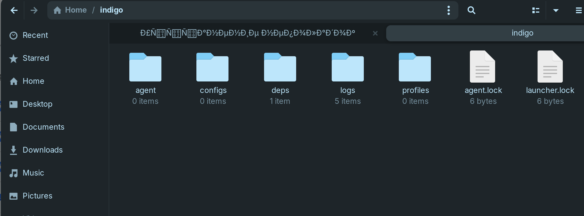 Linux file manager showing lock files