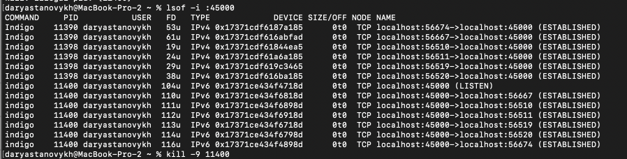 macOS terminal showing port check