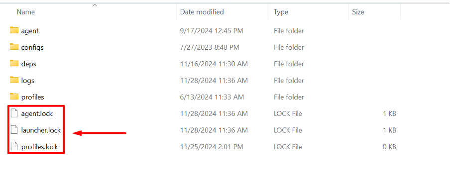 Windows Explorer showing lock files