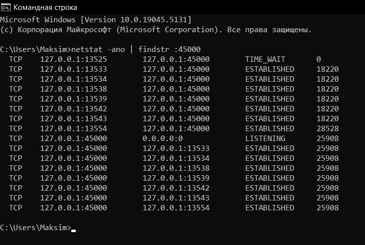 Windows command prompt showing port check